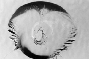 Комбинированный скол